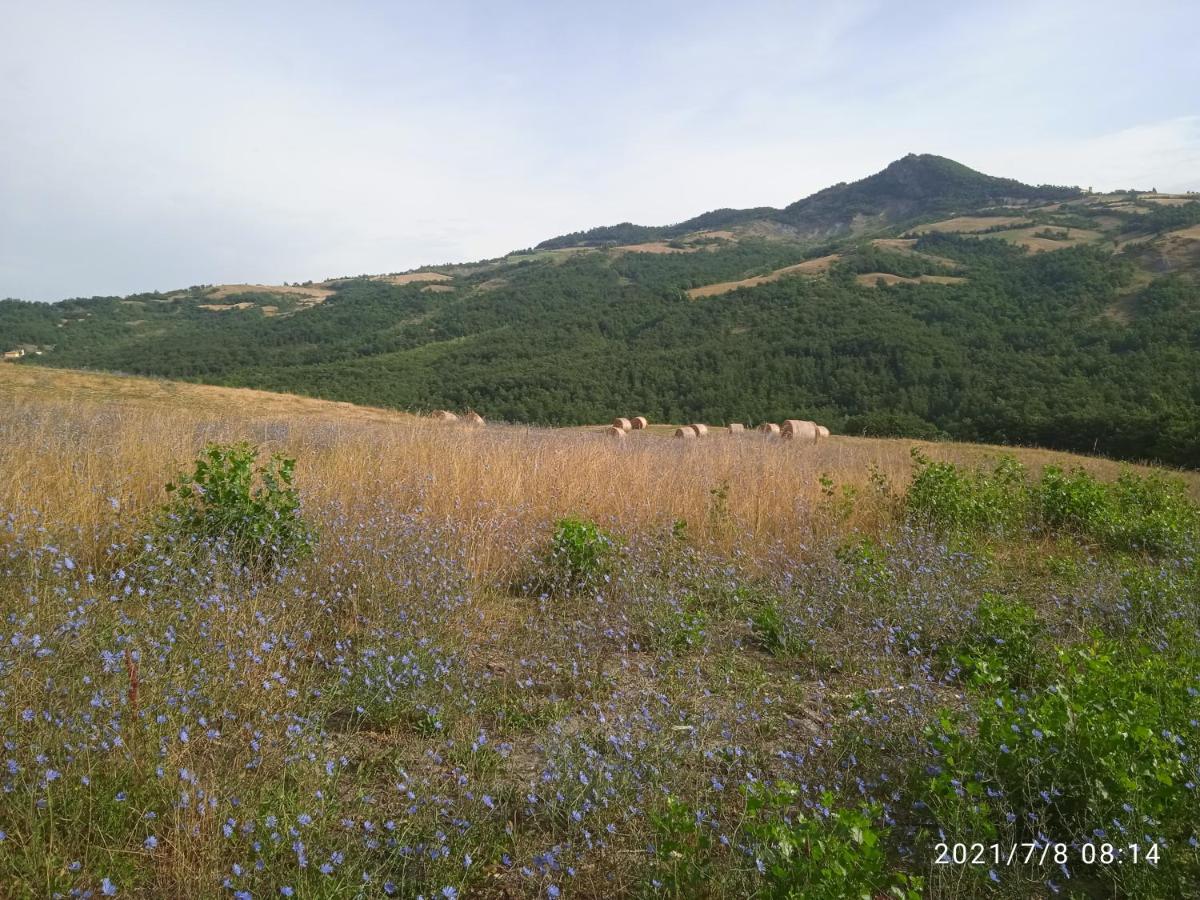 Due Principi E Una Fata 세스톨로 외부 사진